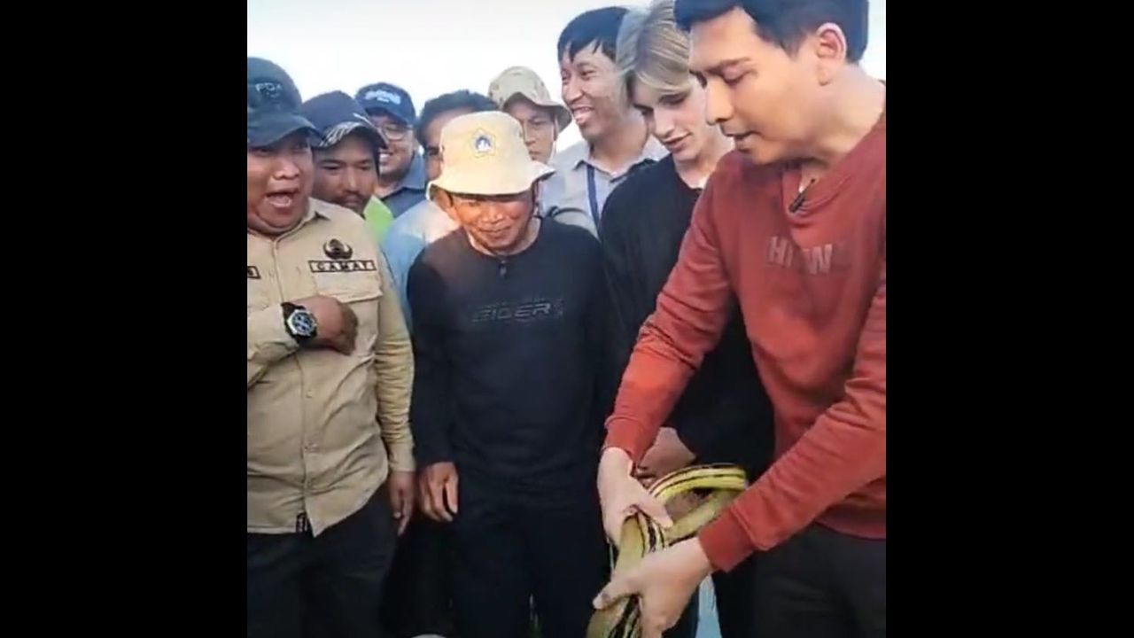 Bupati Lucky Hakim Makin Doyan Lepas Ular ke Sawah Indramayu