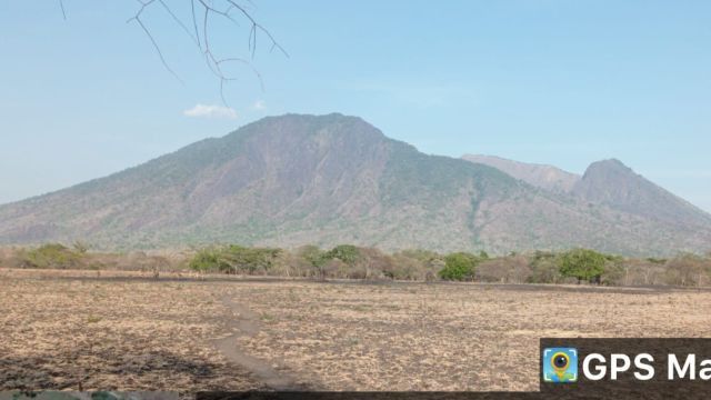 Dalam Tiga Hari, Karhutla Taman Nasional Baluran Capai 160,61 Hektare