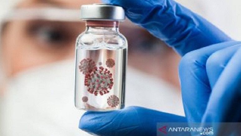 Waspadai Virus Nipah, Salah Satu Infeksi Paling Berisiko Menurut WHO