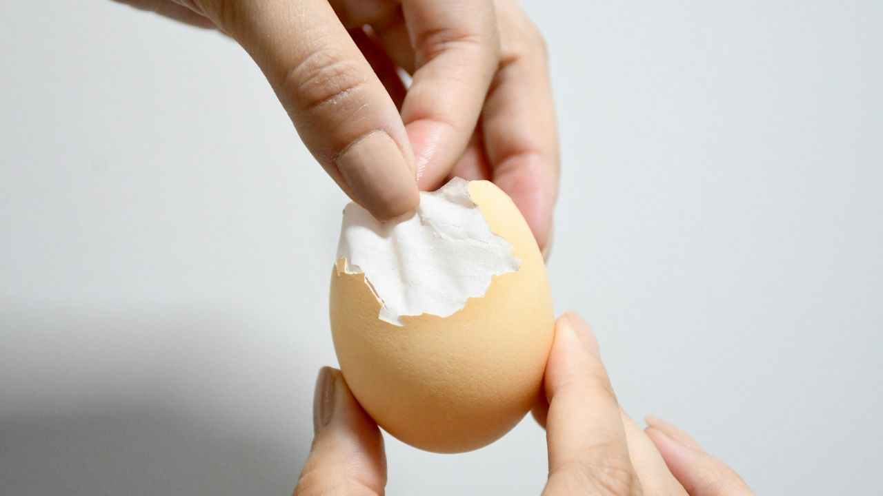 Kenapa Telur Rebus Ada Bintik Hitam dan Apakah Aman Dikonsumsi?