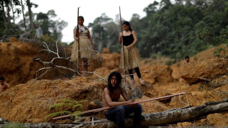 Niat Meliput Suku Terisolasi, Jurnalis Asal Inggris Malah Hilang di Pedalaman Hutan Amazon