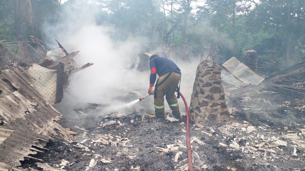 Satu Kandang Berisi 7.000 Ekor Ayam di Leuwiliang Bogor Hangus Terbakar