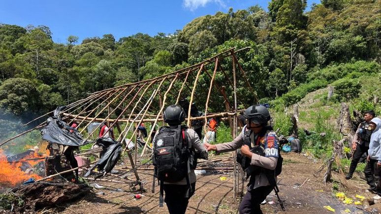 Bareskrim Polri Bongkar 25 Hektare Ladang Ganja di Kabupaten Nagan Raya Aceh