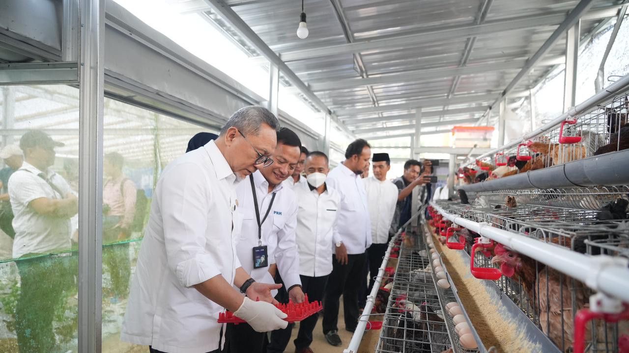 Menko Pangan RI Panen Brokoli hingga Ayam Petelur di Rumah Pangan PNM