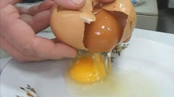 Viral Fenomena Ada Telur Dalam Telur Bolehkah Dikonsumsi Era Id