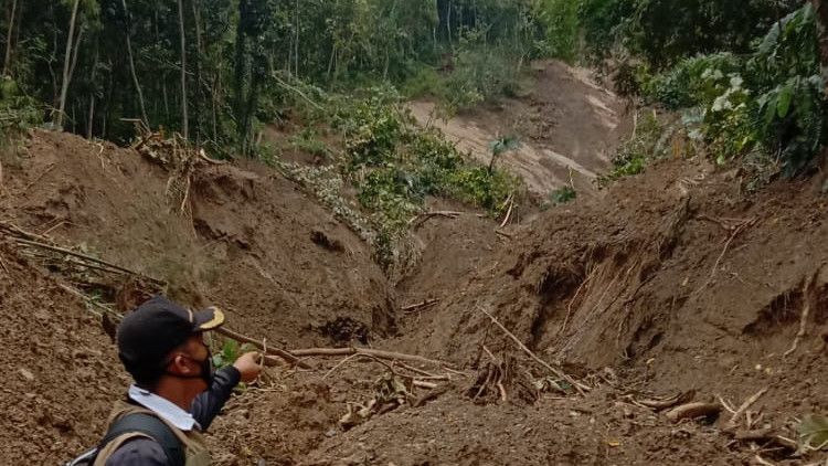 Penampakan Mengerikan Tanah Longsor di Cilacap, 2 Ekor Sapi dan 16 Ekor Kambing Hilang