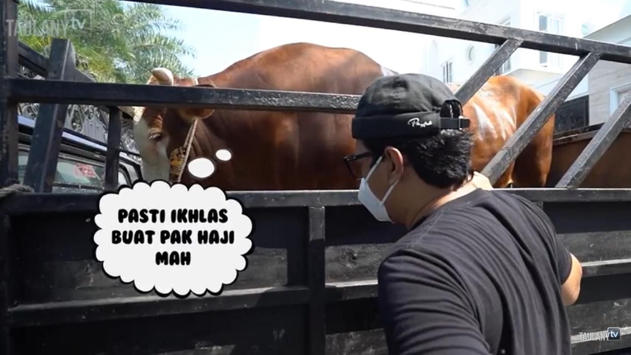 Sapi kurban Andre Taulany (Foto: YouTube/TAULANY TV)