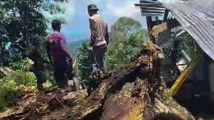 Pohon Besar di Objek Wisata Bulu Matanre Soppeng Tumbang, Tewaskan Sembilan Wisatawan