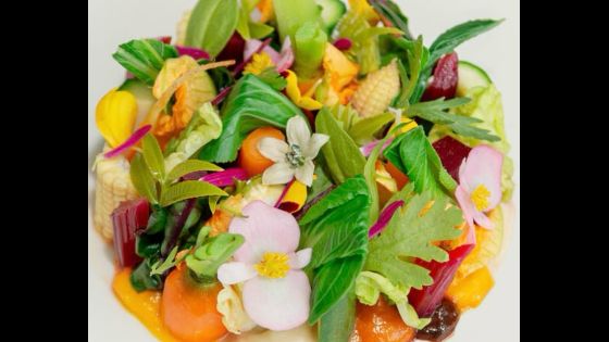 Apéritif Restaurant Ubud Sorot Vegetable Garden dan Kebun Organik, Bahan Dipanen untuk Menu Plant-Based Fine Dining