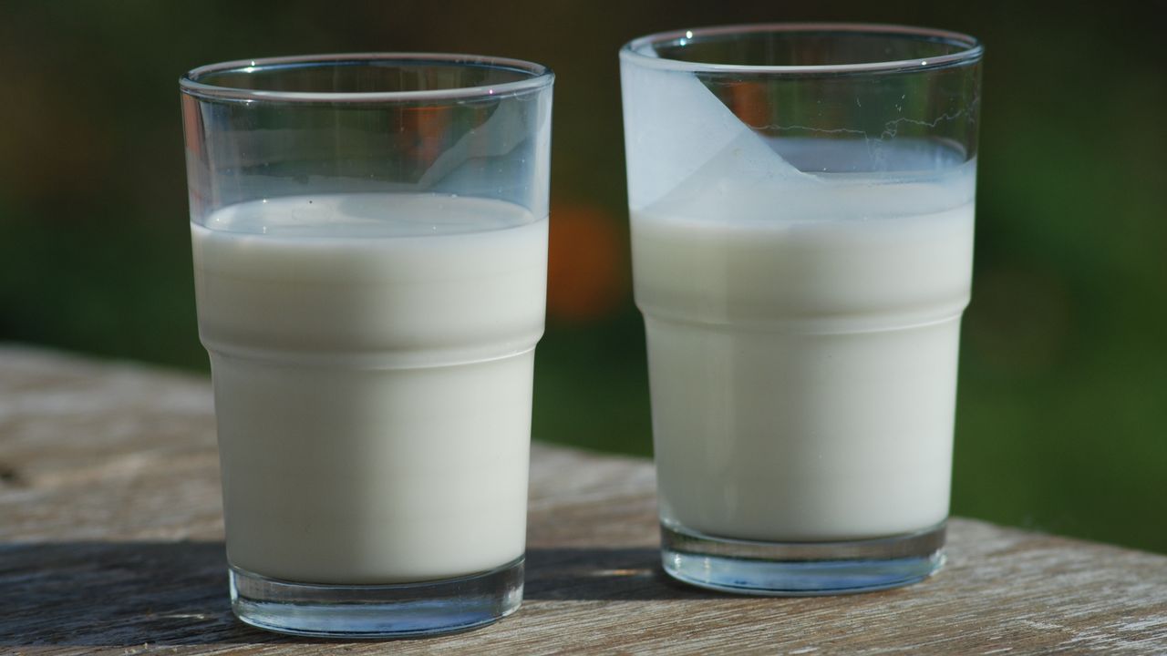 7 Manfaat Susu Kambing yang Wajib Kamu Tahu