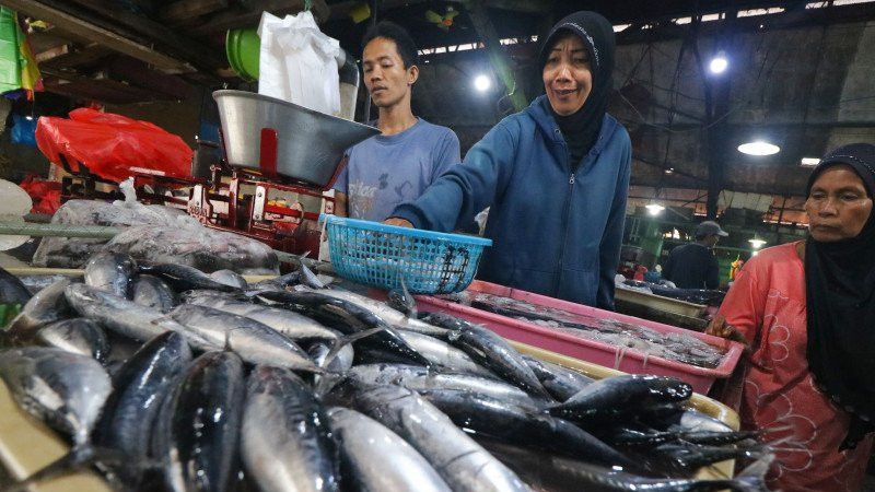Kasihan Ibu di Sumut, Ikan Seberat 10 Kilo yang Baru Dibelinya Dicuri di TPI Ujung Bom