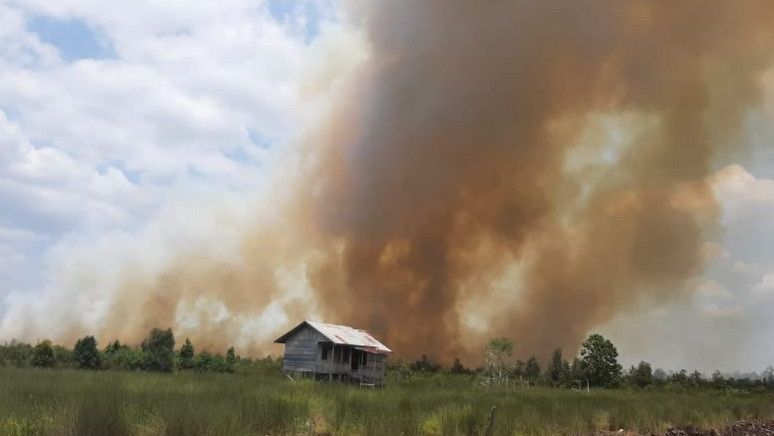 DPR soal Karhutla di Palangka Raya: Jangan Sampai Terulang Kabut Asap di 2015