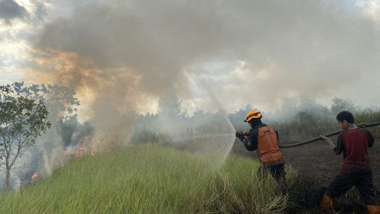 Karhutla di Ring 1 Bandara Syamsudin Noor Kalsel, 50 Personel Diterjunkan