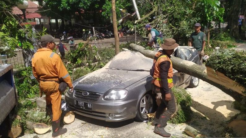 Kasihan, 5 Mobil di Bandung Ringsek Ditimpa Pohon Tumbang di Jalan Bungur