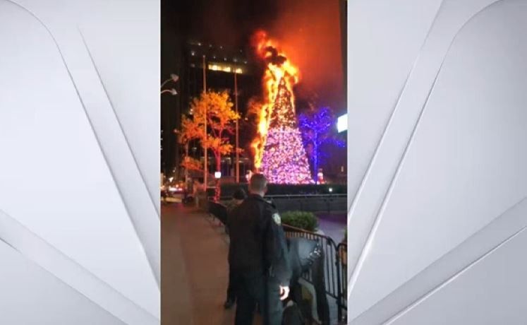 Pria Ini Ditangkap karena Nekat Bakar Pohon Natal Setinggi 15 Meter di New York