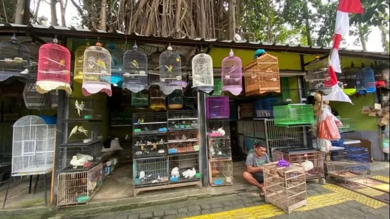 Pasar Hewan Barito Pindah ke Lenteng Agung Mulai Agustus 2025
