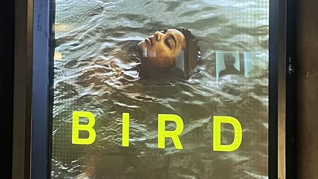 Gelaran Jakarta World Cinema 2024 Resmi Ditutup dengan Film Bird