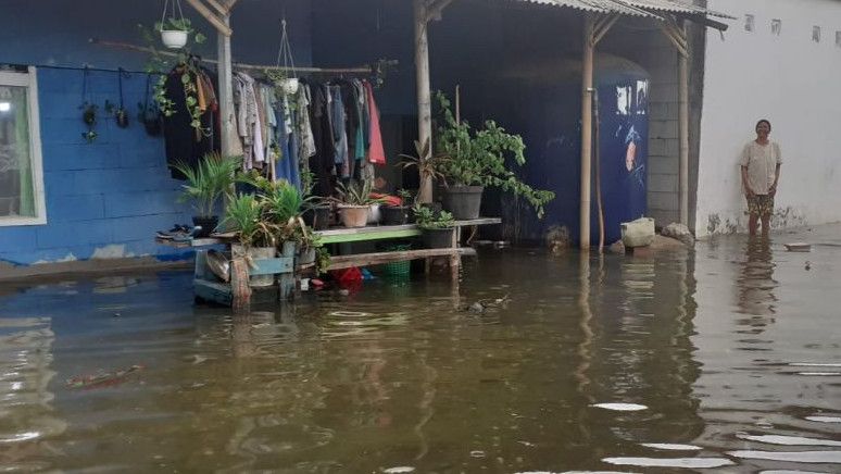 Air Laut Pasang, Banjir Rob Kembali Rendam Permukiman Warga di Pesisir Tangerang