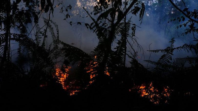 Malaysia Diminta Tanggung Jawab Atas Karhutla di RI, Tiga Perusahaan Malaysia Konsesinya Kebakaran Berulang Kali