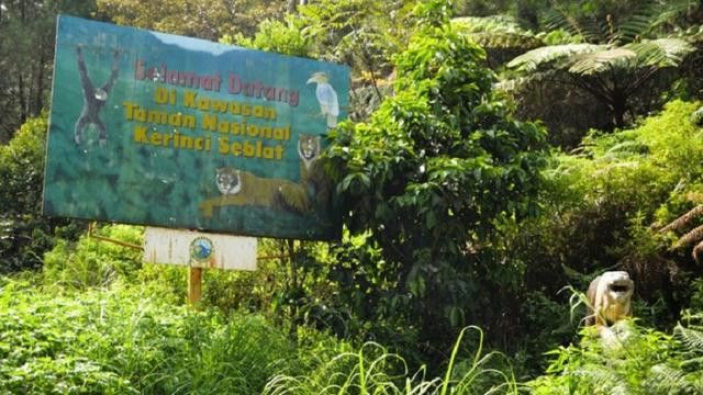 Mengenal Taman Nasional Kerinci Seblat, Lokasi Helikopter Kapolda Jambi Mendarat Darurat