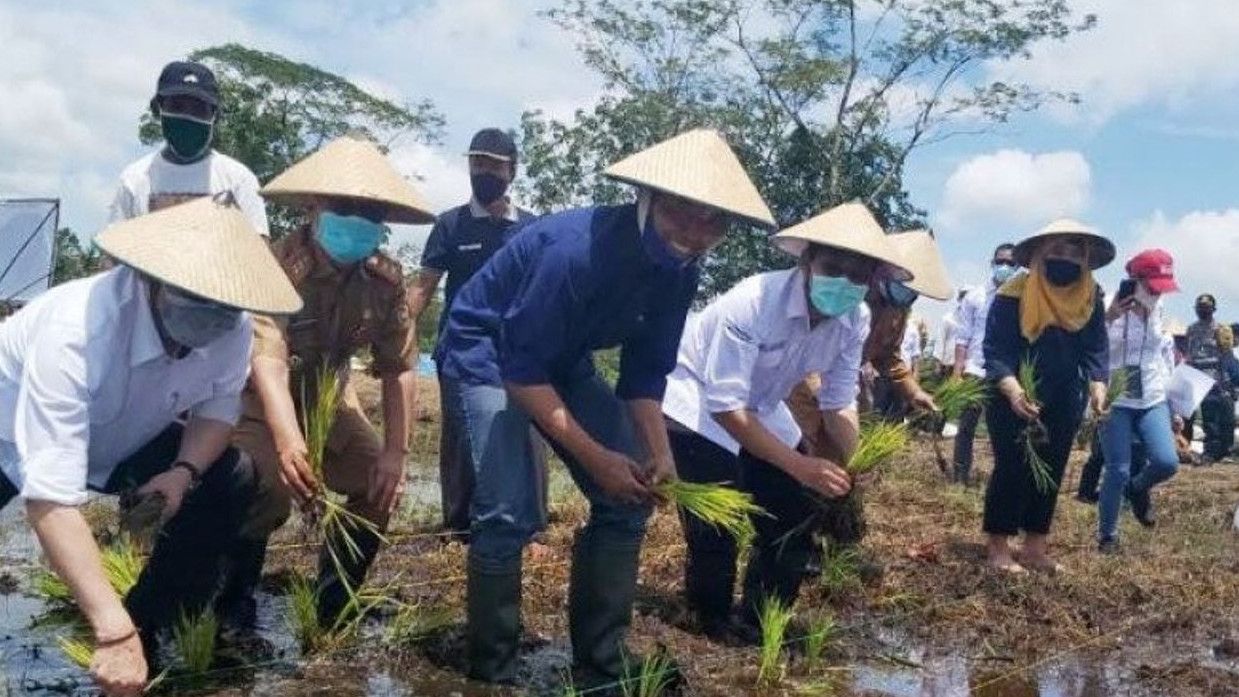 Kala Megawati Singgung Jutaan Hektare Sawah di Lahan Gambut