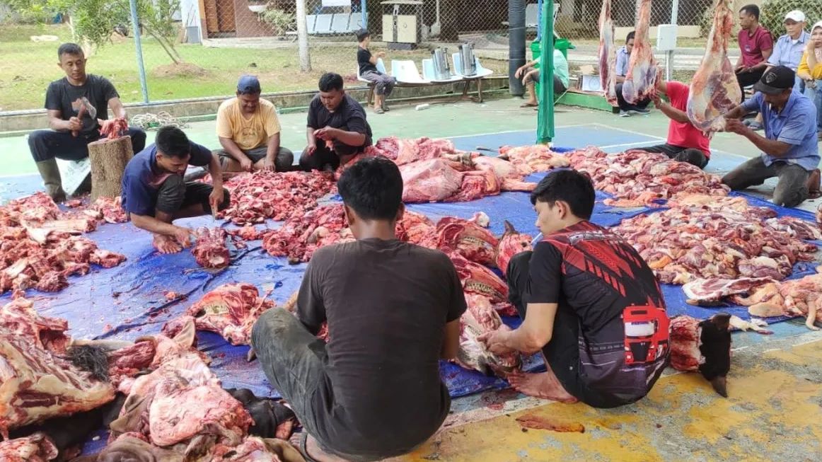 7 Cara Menyimpan Daging Kurban Agar Tetap Awet