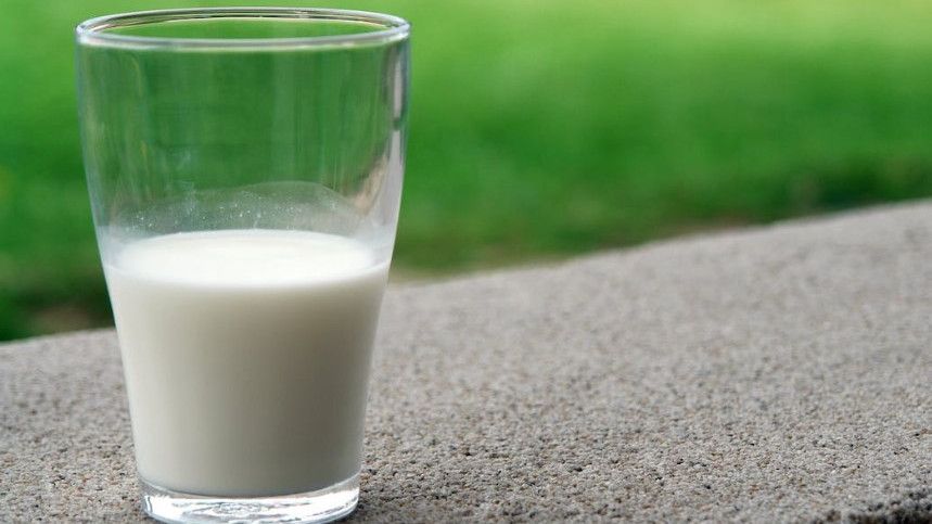 Perbedaan Susu UHT dan Full Cream, Mana yang Anda Pilih?