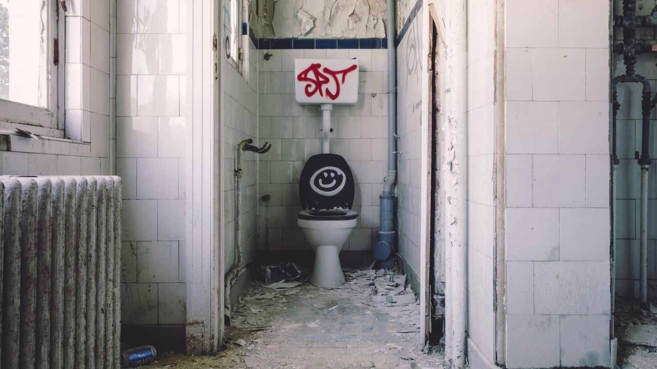 Nasib Apes Pria Asal Austria, Digigit Ular Saat Sedang Duduk di Toilet