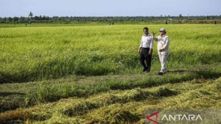 Pernah Copot 4 Pegawai Kementan, Mentan Amran Janji Mundur Jika Gagal Berantas Mafia Impor Pangan