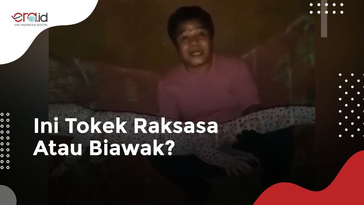 Pria Ini Pamer Tokek Raksasa, Netizen: Hoaks, Itu Biawak Cosplay