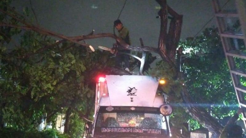 Pohon Tumbang Timpa Dua Mobil saat Angin Kencang Bertiup di Jakarta Utara