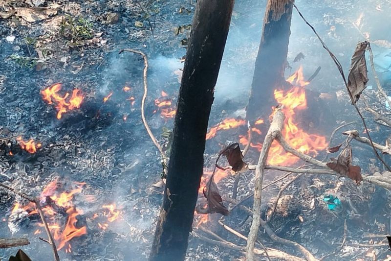 Sri Sultan Ingatkan Hati-hati Buang Puntung Rokok di Lahan Tanaman Kering, Mudah Terbakar Saat Kemarau