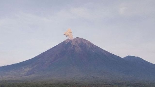 Sehabis Subuh Gunung Semeru Erupsi, Statusnya Waspada