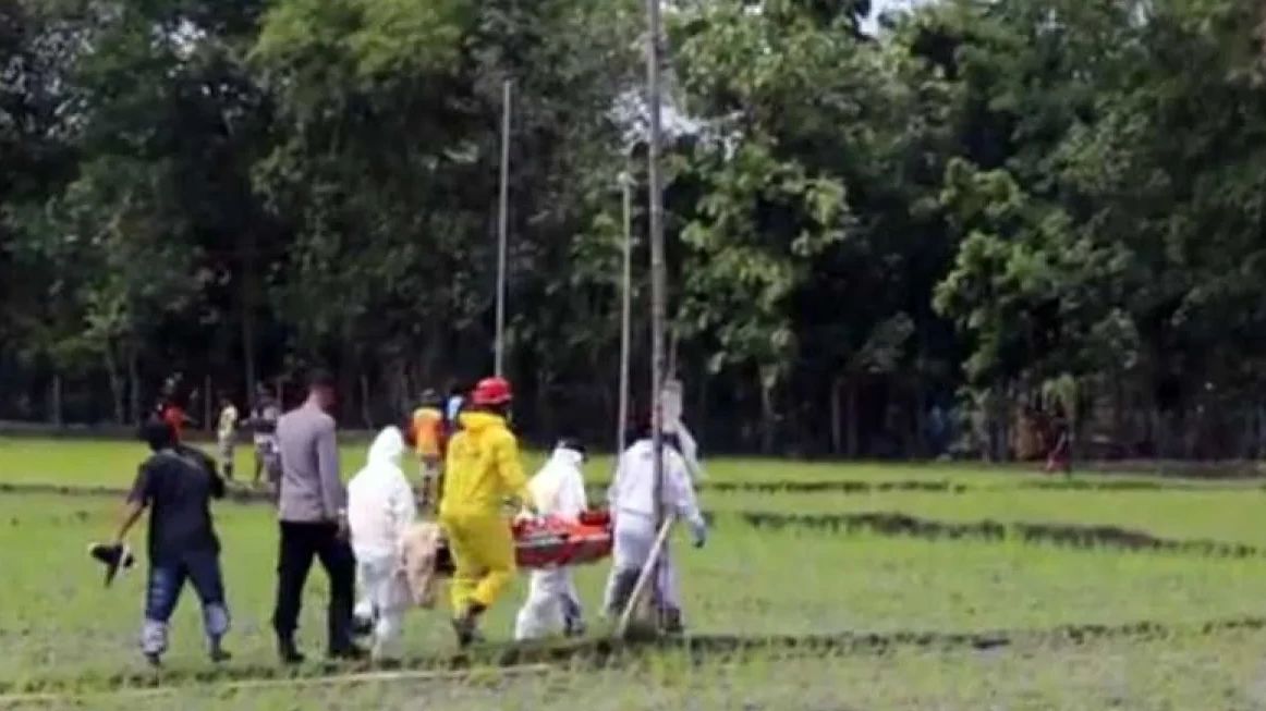 Satu Warga Tewas Tersengat Aliran Listrik, Pemkab Kudus Larang Petani Pasang Perangkap Tikus dengan Listrik di Sawah