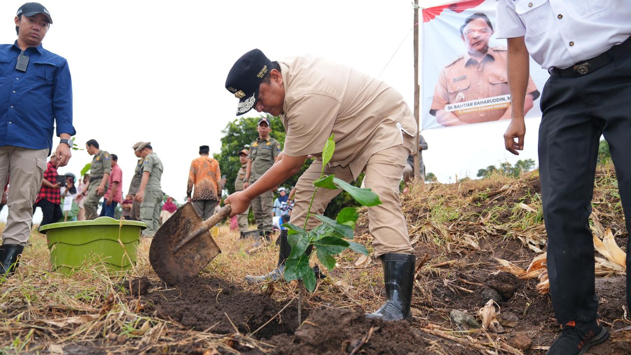 Pj Gubernur Bahtiar Akan Gencarkan Tanam 2 Juta Pohon Nangka Madu di Sulsel