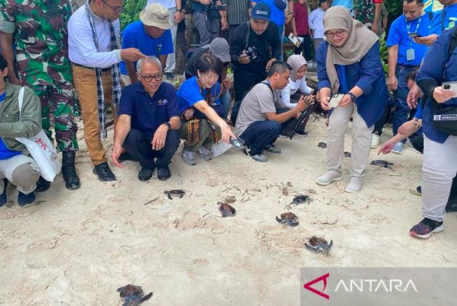 Konservasi Satwa Endemik, Ratusan Tukik dan Burung Kacamata Wangi-Wangi Dilepasliarkan di Wakatobi